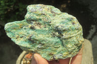 Natural Kyanite In Fuchsite Matrix Specimens x 5 From Zimbabwe