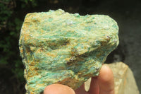 Natural Kyanite In Fuchsite Matrix Specimens x 5 From Zimbabwe