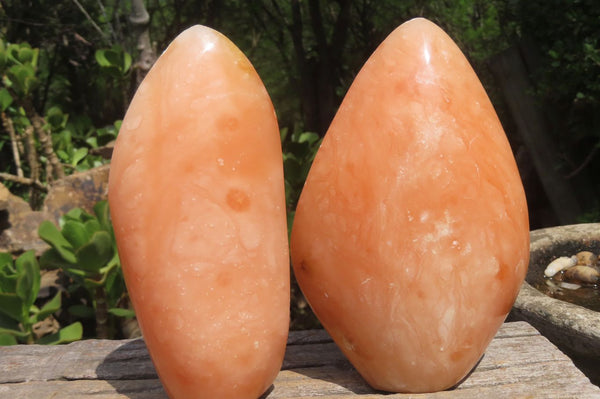 Polished Orange Twist Calcite Standing Free Forms x 2 From Madagascar