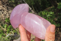 Polished Rose Quartz Mushroom Carvings x 2 From Madagascar