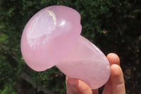 Polished Rose Quartz Mushroom Carvings x 2 From Madagascar