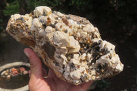 Natural Aegirine & Orthoclase Cluster x 1 From Zomba, Malawi