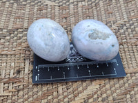 Polished Mini White Ocean Jasper Eggs x 15 From Madagascar