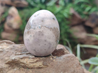 Polished Mini White Ocean Jasper Eggs x 15 From Madagascar