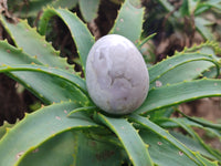 Polished Mini White Ocean Jasper Eggs x 15 From Madagascar