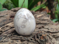 Polished Mini White Ocean Jasper Eggs x 15 From Madagascar