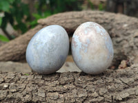 Polished Mini White Ocean Jasper Eggs x 15 From Madagascar