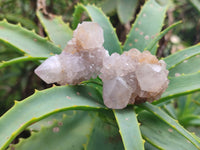 Natural Amethyst Spirit Quartz Clusters x 16 From Boekenhouthoek, South Africa