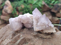 Natural Amethyst Spirit Quartz Clusters x 16 From Boekenhouthoek, South Africa