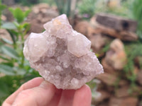 Natural Amethyst Spirit Quartz Clusters x 16 From Boekenhouthoek, South Africa