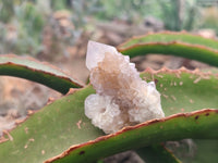 Natural Amethyst Spirit Quartz Clusters x 16 From Boekenhouthoek, South Africa