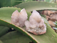 Natural Amethyst Spirit Quartz Clusters x 16 From Boekenhouthoek, South Africa