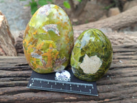 Polished Green Opal Standing Free Forms x 6 From Antsirabe, Madagascar