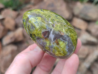 Polished Green Opal Standing Free Forms x 6 From Antsirabe, Madagascar