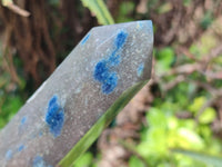 Polished Blue Spotted Spinel Quartz Points x 4 From Madagascar