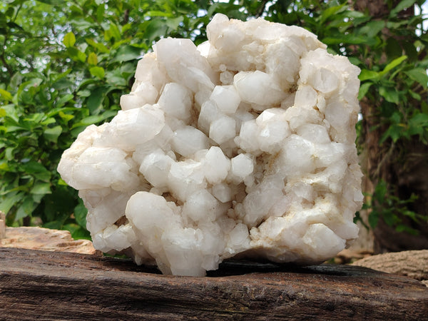 Natural XL Phantom Quartz Cluster x 1 From Madagascar