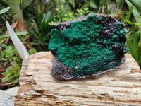 Natural Ball Malachite On Quartz Matrix Specimens x 2 From Kambove, Congo