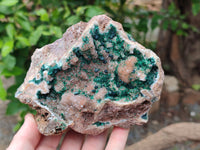 Natural Ball Malachite On Quartz Matrix Specimens x 2 From Kambove, Congo