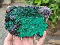 Natural Ball Malachite On Quartz Matrix Specimens x 2 From Kambove, Congo