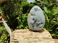 Polished Celestite Geode Eggs x 1 From Sakoany, Madagascar