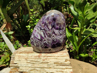 Polished XL Chevron Amethyst Standing Free Form x 1 from Zambia