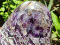 Polished XL Chevron Amethyst Standing Free Form x 1 from Zambia