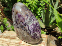 Polished XL Chevron Amethyst Standing Free Form x 1 from Zambia