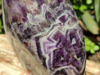 Polished XL Chevron Amethyst Standing Free Form x 1 from Zambia