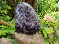 Polished XL Chevron Amethyst Standing Free Form x 1 from Zambia