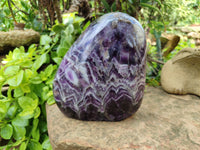 Polished XL Chevron Amethyst Standing Free Form x 1 from Zambia