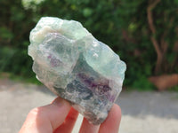 Natural Watermelon Fluorite Cobbed Specimens x 4 From Uis, Namibia