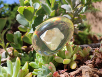 Polished Extra Rare 1980's Rutile Quartz In Resin Egg - Sold Per Item - From Brazil