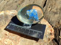 Polished Lapis Lazuli Specimen In Resin Egg - Sold Per Item - From Afghanistan