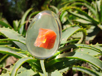 Polished Carnelian In Resin Egg - Sold Per Item - From Madagascar