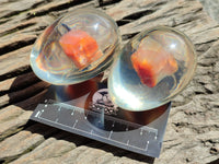 Polished Carnelian In Resin Egg - Sold Per Item - From Madagascar