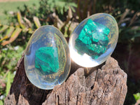 Polished Malachite In Resin Egg - Sold Per Item - From Congo