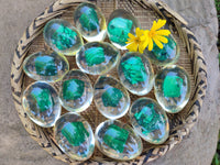 Polished Malachite In Resin Egg - Sold Per Item - From Congo