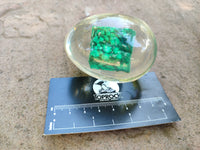 Polished Malachite In Resin Egg - Sold Per Item - From Congo