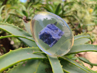 Polished Sodalite In Resin Egg - Sold Per Item - From Kunene River, Namibia