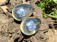 Polished Sodalite In Resin Egg - Sold Per Item - From Kunene River, Namibia