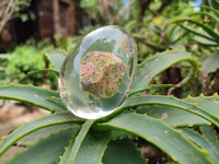 Polished Unakite In Resin Egg - Sold Per Item - From Messina, South Africa