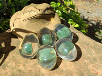 Polished Aventurine In Resin Egg - Sold Per Item - From Zimbabwe