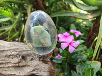 Polished Aventurine In Resin Egg - Sold Per Item - From Zimbabwe