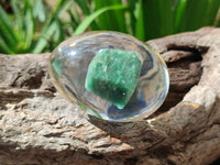 Polished Aventurine In Resin Egg - Sold Per Item - From Zimbabwe