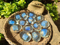 Polished Lapis Lazuli Specimen In Resin Egg - Sold Per Item - From Afghanistan