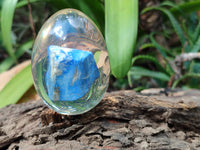 Polished Lapis Lazuli Specimen In Resin Egg - Sold Per Item - From Afghanistan