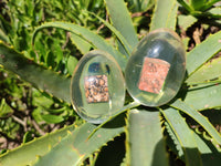 Polished Snakeskin Rhyolite Jasper Specimen In Resin Egg - Sold Per Item - From Australia