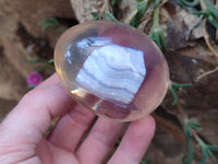 Polished Namibian Blue Lace Agate Specimen In Resin Egg - Sold Per Item - From Namibia