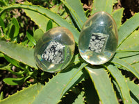 Polished Snowflake Obsidion In Resin Egg - Sold Per Item - From Mexico