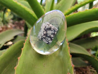 Polished Snowflake Obsidion In Resin Egg - Sold Per Item - From Mexico